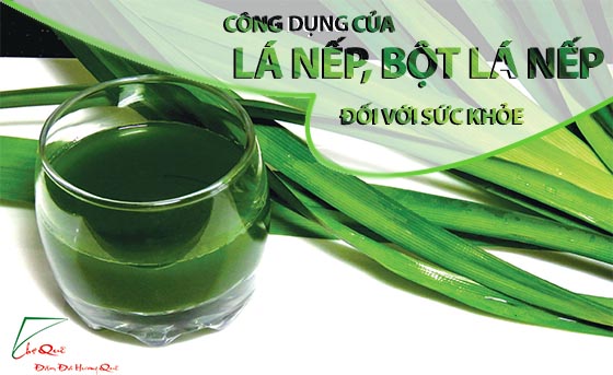 Cộng dụng của bột lá nếp, lá dứa